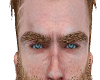 Norse blonde eyebrows v2