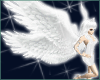 Angel Wings/6wings