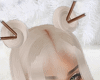 Gabriela Platinum +bangs