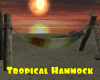 *Tropical Hammock