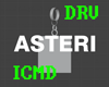 Anim Earring R (asteri)