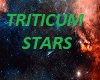 triticum stars