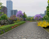 Family Park Central