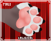 *L* Kuga M Claws