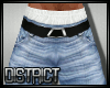 D13l Stan Pants II