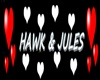 Hawk and Jules banner