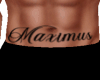 Tatto Maximus