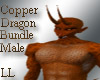 (LL)Copper Dragon Bundle