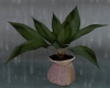 Baggy Plant Deco