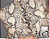 LEOPARDTOP BR SHORTSET