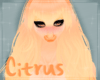 [N] Citrus Hair v3 F