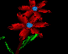 Fluro - red vine flowers