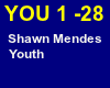 Shawn Mendes Youth