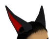 red and black ears