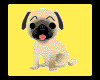 Animated Pug Sticker