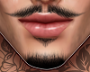 Real Bigode Beard'