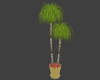 ~D~ Bamboo Plant v.2