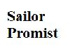 Sailor Promist Top
