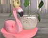 Flamingo Plant 2023