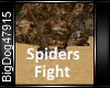 [BD]SpidersFight