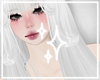 ✦ Archer