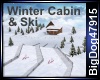 [BD] Winter Cabin & Ski