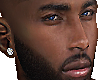 Maxwell Mesh Head