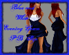 Blue/whte Evening Gown