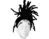 SHE LOCD
