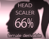 Head Resizer 66%