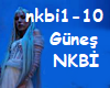 *C*Gunes-NKBi