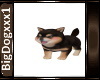 [BD] Puppy 2