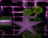 (B) Purple Light Star