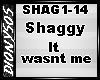 *D* Shaggy It wasnt me
