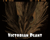 *Victorian Plant