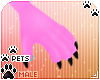 [Pets] Phir | claws