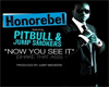[P] Pitbull - Now You ..
