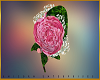 [UE] BOUTONNIERE PINK