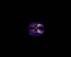 ILLUSION Dome