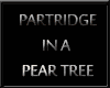 [KLL]PARTRIDGE PEAR TREE
