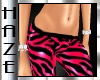 *Haze* Zebra Hot Pink