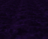 oceano morado,violeta