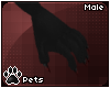 [Pets] Zom | claws