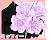 M » Lilac Roses R