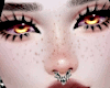 Septum - Bat