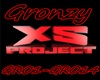 XS Pro. Gronzy
