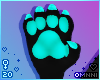 . Xero | paws