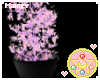 ♡ Neon goth plant