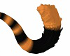SL Tail Orange & Black