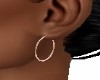 SMALL ROSE GOLD  HOOPS